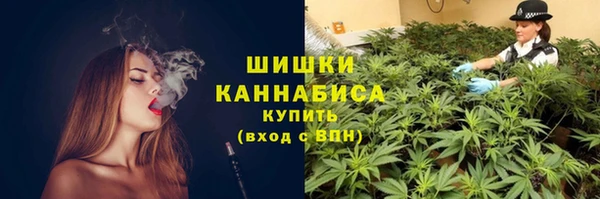 мдпв Костерёво