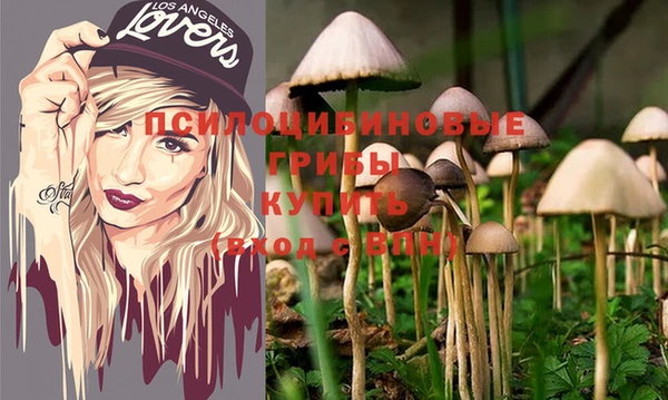 бошки Корсаков