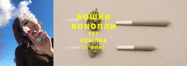 ПСИЛОЦИБИНОВЫЕ ГРИБЫ Баксан