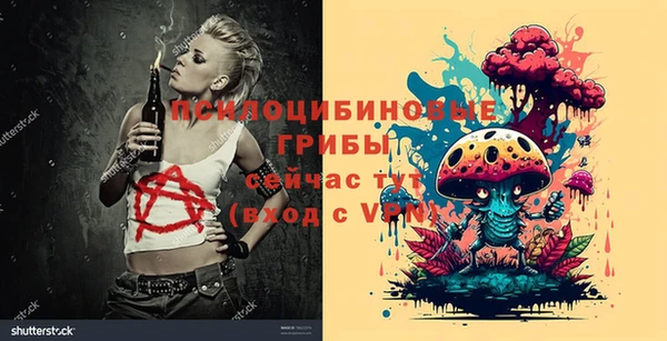 мдпв Костерёво