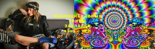 мдпв Костерёво