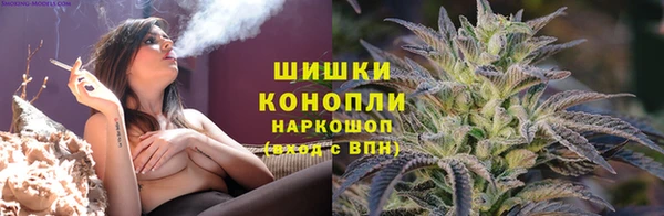ECSTASY Коряжма