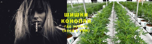 мдпв Костерёво