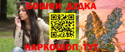 стафф Камышлов