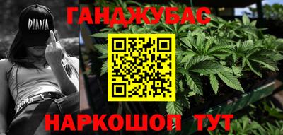 стафф Камышлов