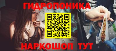 прущие грибы Азнакаево