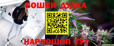спиды Канаш