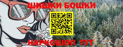 стафф Камышлов