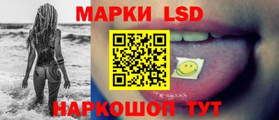 стафф Камышлов