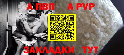 стафф Камышлов