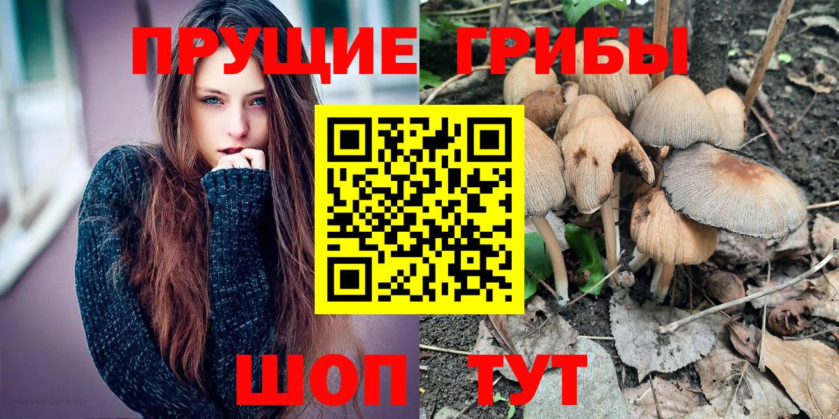 где можно купить   Галлюциногенные грибы Magic Shrooms  Вход с VPN  Бирск 