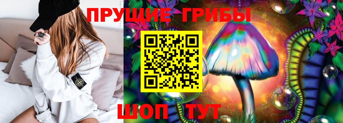 Псилоцибиновые грибы Psilocybe Бирск